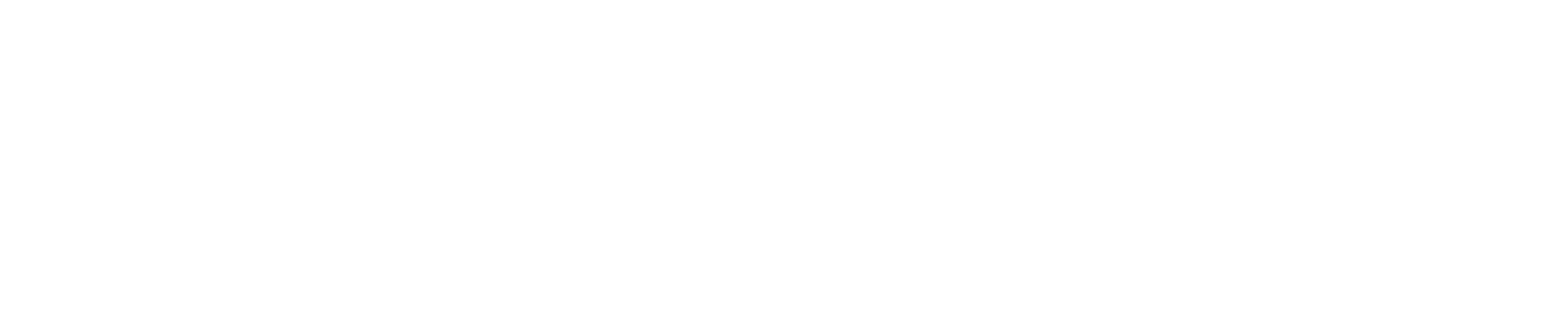 Fizyoterapist Ahmet Süleymanoğlu Logo